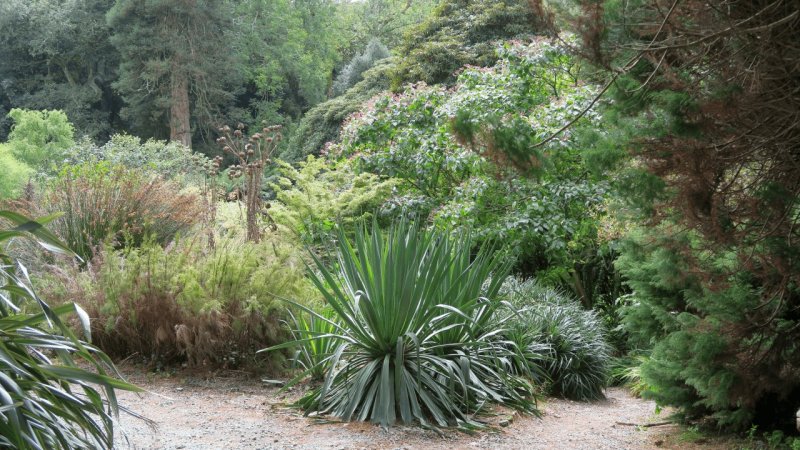the_lost_gardens_of_heligan_024