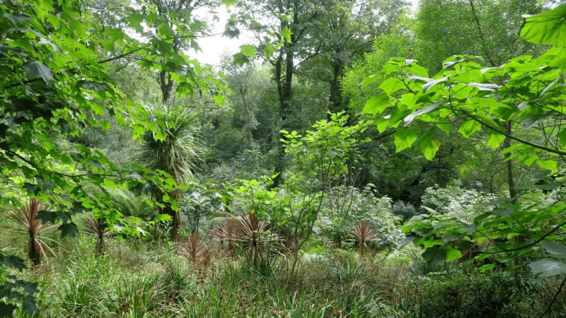 the_lost_gardens_of_heligan_027