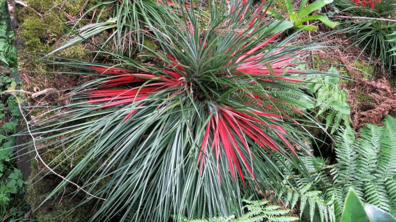 the_lost_gardens_of_heligan_028