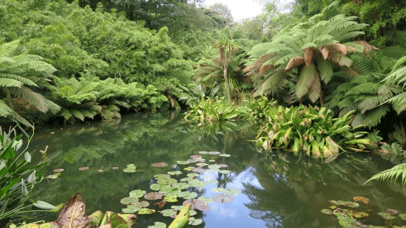 the_lost_gardens_of_heligan_030
