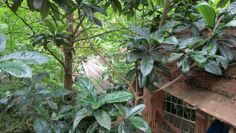 the_lost_gardens_of_heligan_031