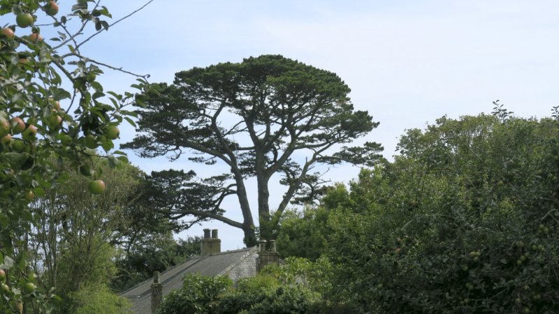 the_lost_gardens_of_heligan_034