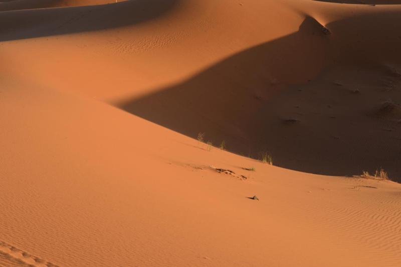 merzouga_desert_tour_0030