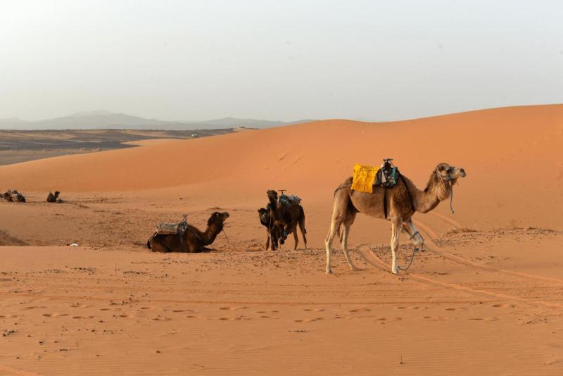 merzouga_desert_tour_0042
