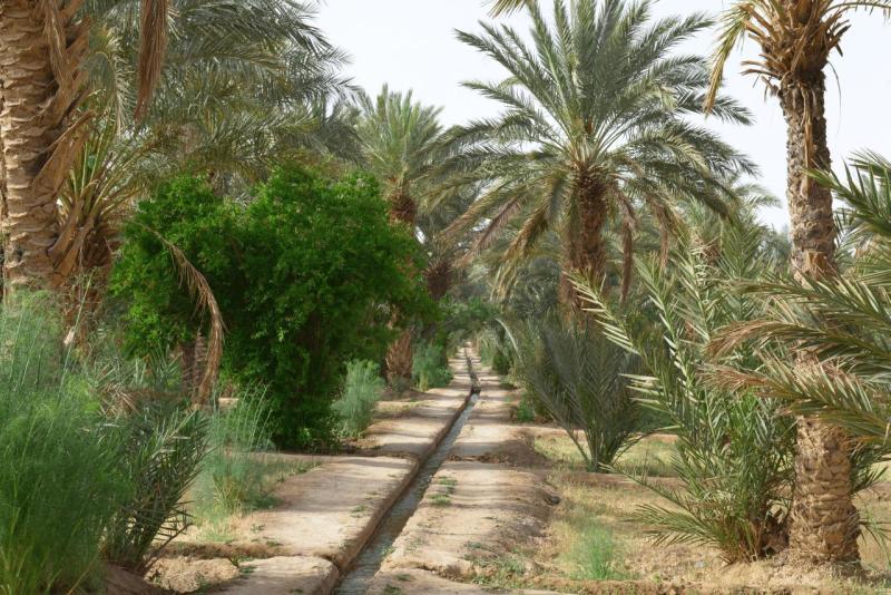 merzouga_desert_tour_0049