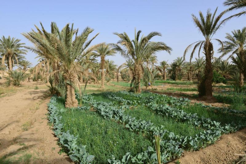 merzouga_desert_tour_0050