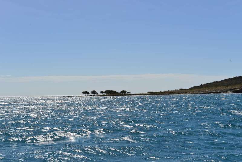 flinders_islands_0036