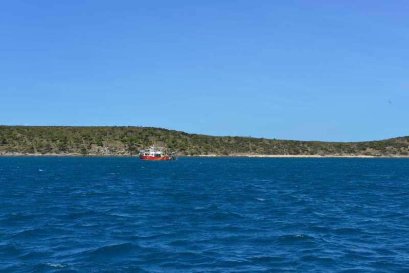 flinders_islands_0041