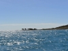 flinders_islands_0036
