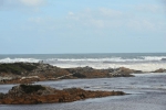 gardina_point_001
