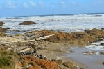 gardina_point_003