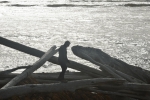 gardina_point_005