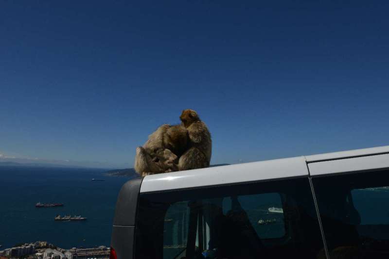 gibraltar_0066
