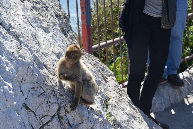 gibraltar_0111