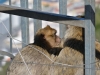 gibraltar_0091