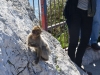 gibraltar_0111
