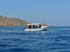 gili_lawa_darat_0026