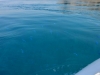 gili_lawa_darat_0031