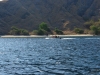 gili_lawa_darat_0051