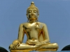 golden_triangel_0021