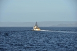 strahan_gordon_river_tour_010