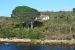 strahan_gordon_river_tour_014