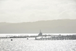strahan_gordon_river_tour_015