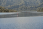 strahan_gordon_river_tour_016