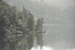 strahan_gordon_river_tour_018