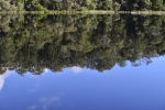 strahan_gordon_river_tour_019