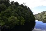 strahan_gordon_river_tour_022