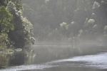 strahan_gordon_river_tour_024