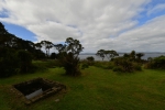 strahan_gordon_river_tour_031