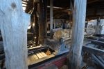 strahan_gordon_river_tour_036
