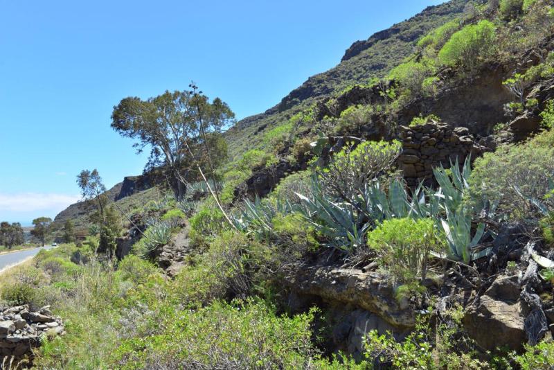 gran_canary_cueva_bermeja_018