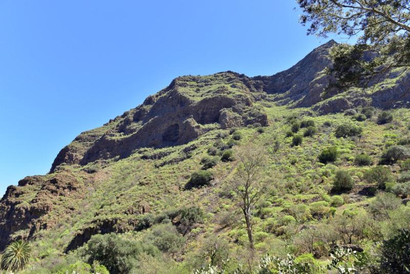 gran_canary_cueva_bermeja_020