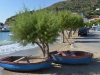 greek_one_0091