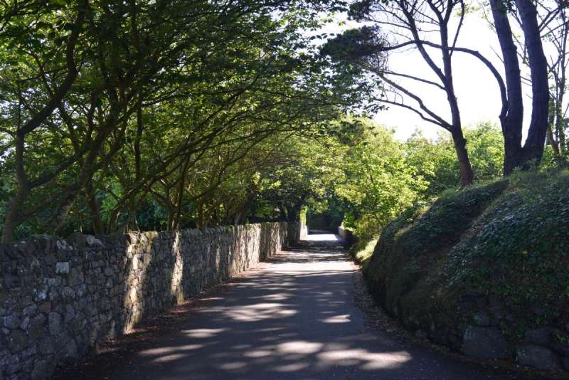 guernsey_0031