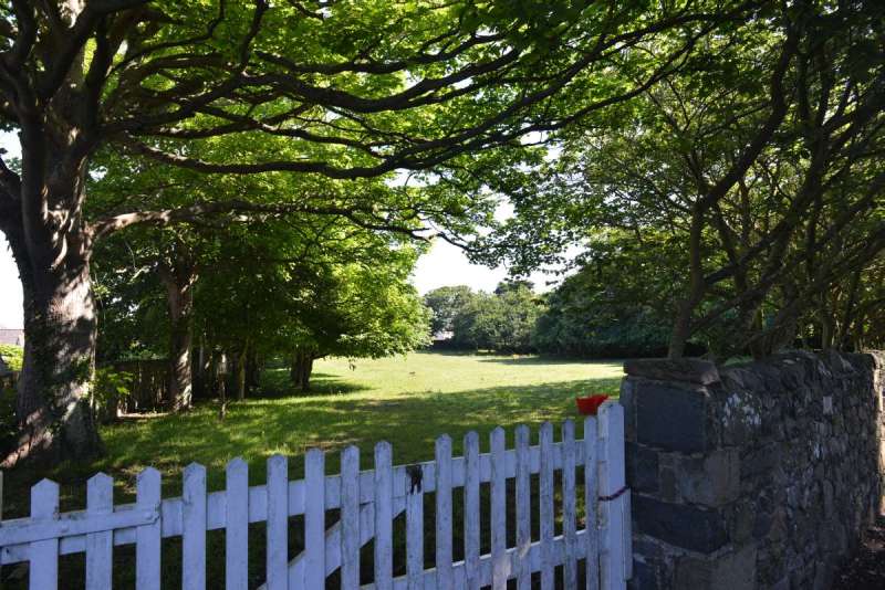 guernsey_0036