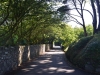 guernsey_0031