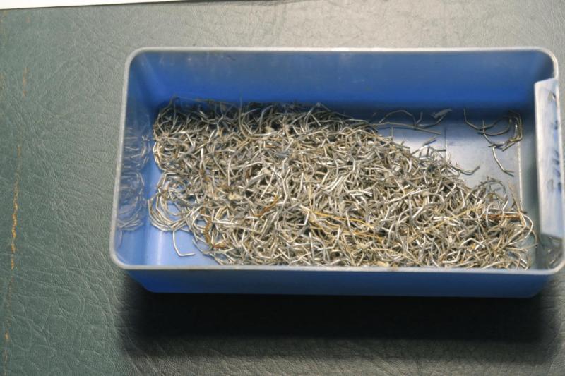 hornet_33_bootspolster_056