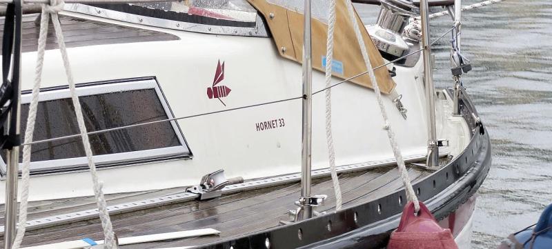 hornet_33_titel_kauf