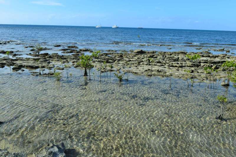 howick_island_0031