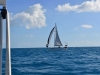howick_island_0001