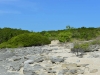 howick_island_0006