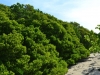 howick_island_0026