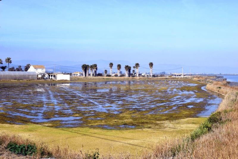 floronsac_ebro_delta_valdepanas_huelva_009
