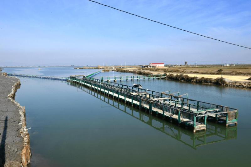 floronsac_ebro_delta_valdepanas_huelva_010