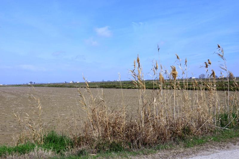 floronsac_ebro_delta_valdepanas_huelva_012