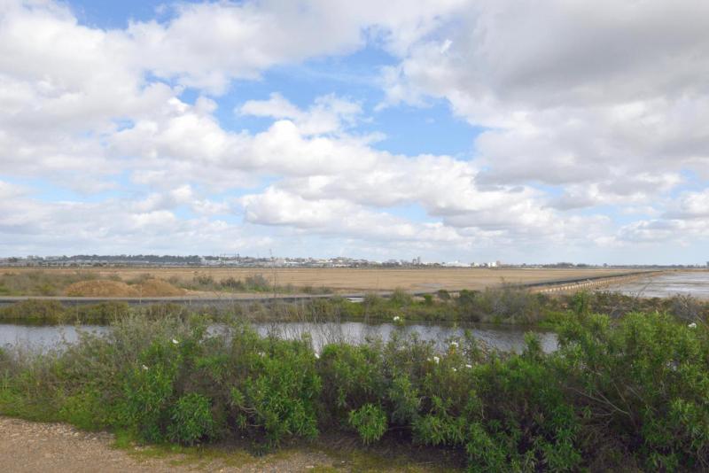 floronsac_ebro_delta_valdepanas_huelva_021